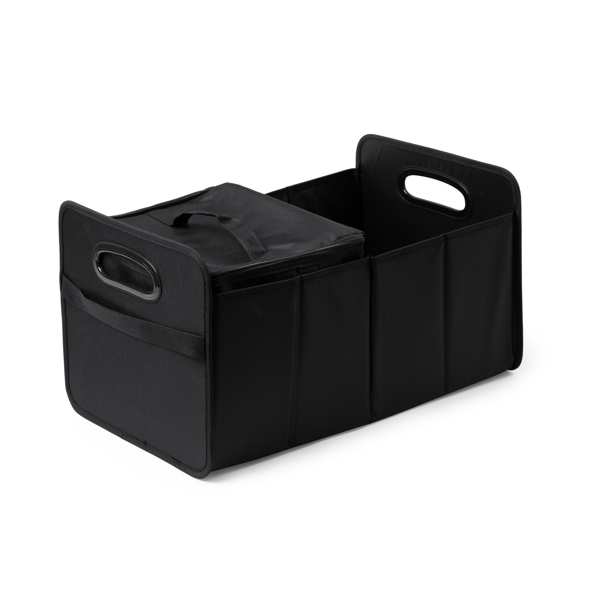 Bolsas kentin