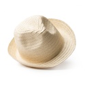 Sombreros levy